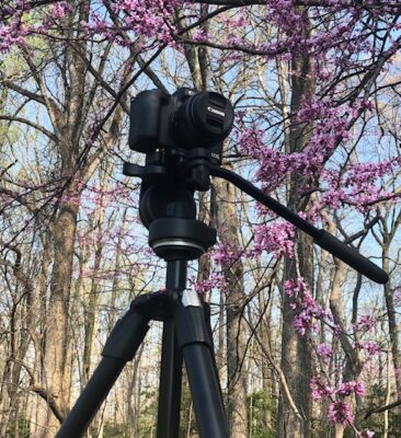 Cam equipment redbud pic